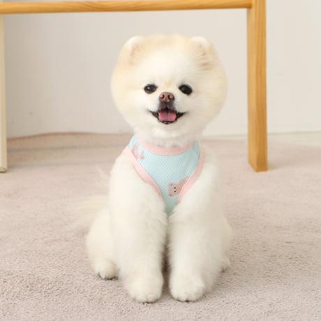 [IT'S DOG] JELLY BEAR COOL SLEEVE