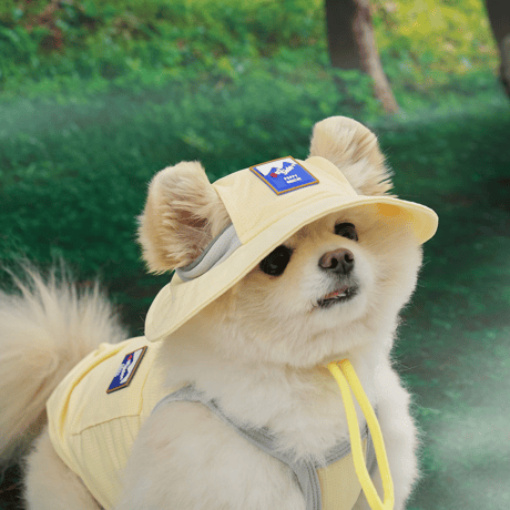 [ PUPPYGALLERY ] Outside plus bucket hat
