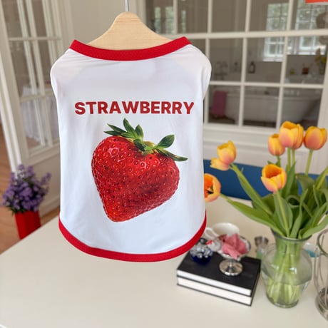 【予約】[Cooling Function] Fruit Aqua Cool Easy Vest（M001）