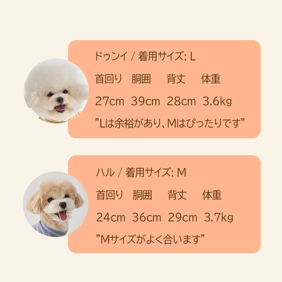 65512bd3418fdf002e5c3e93
