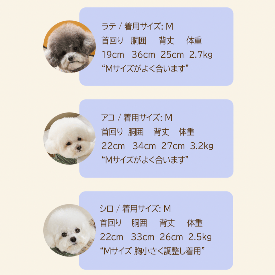 6547e7526e449518fff3f384