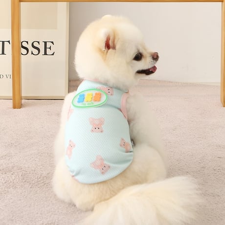[IT'S DOG] JELLY BEAR COOL SLEEVE