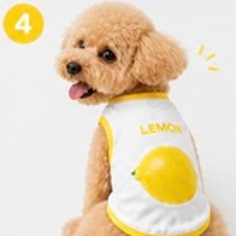 【予約】[Cooling Function] Fruit Aqua Cool Easy Vest（M001）