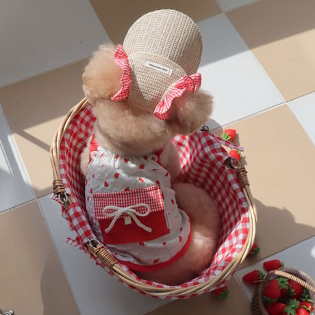 [ DURANG RURANG ] Strawberry Ice Pocket Top