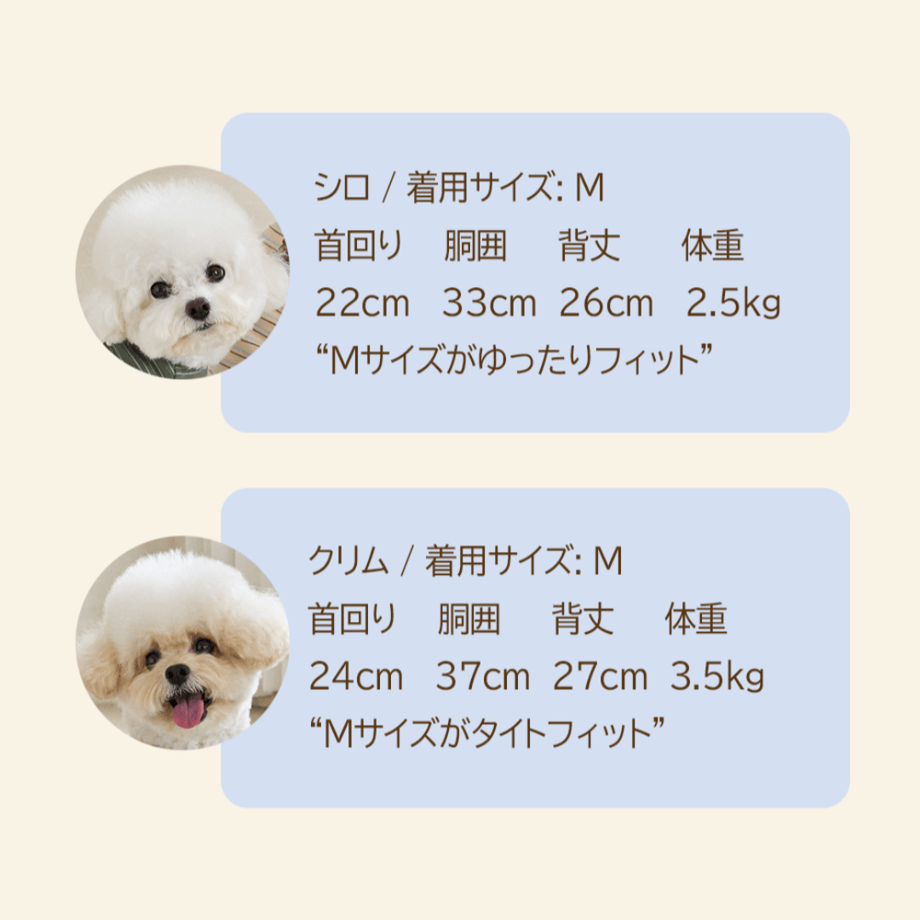654d226ce6a77c002eb510f2