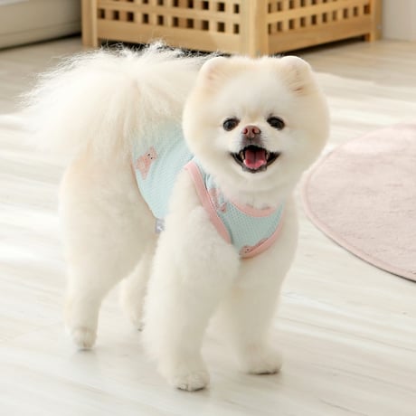 [IT'S DOG] JELLY BEAR COOL SLEEVE
