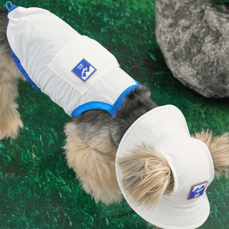[ PUPPYGALLERY ] Outside plus cooling tank top