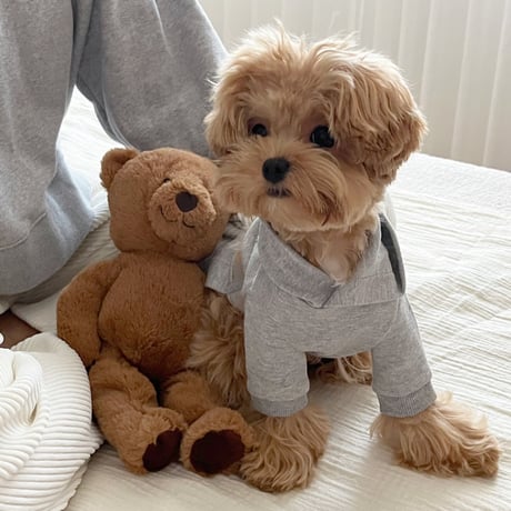 Bear Hooded Crop Set（F001）