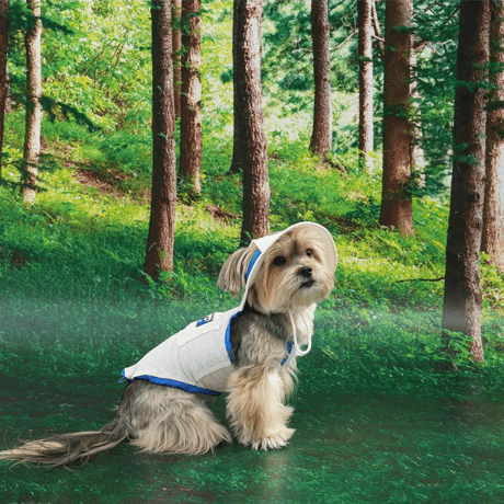 [ PUPPYGALLERY ] Outside plus cooling tank top