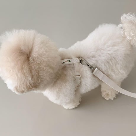 [ SSFW ] Love, Walk Backpack Harness