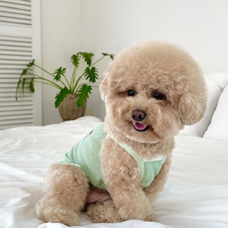 [DURANG RURANG] SUMMER BEAR BREEZE TOP