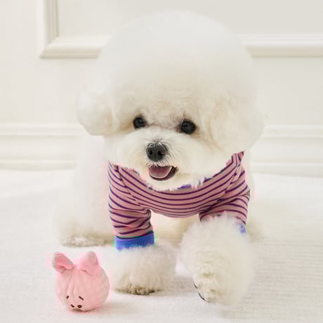 【BENNYS】 MY PUPPY STRIPE T-SHIRT