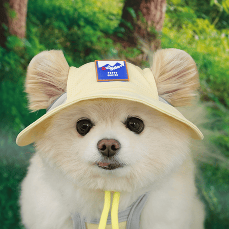 [ PUPPYGALLERY ] Outside plus bucket hat