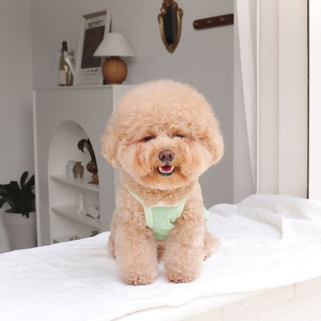 [DURANG RURANG] SUMMER BEAR BREEZE TOP