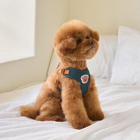 [BENNYS] ONE TOUCH HARNESS