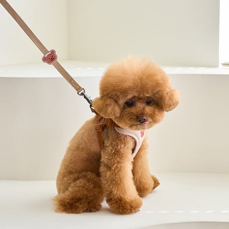 [BENNYS] MULTI LEASH