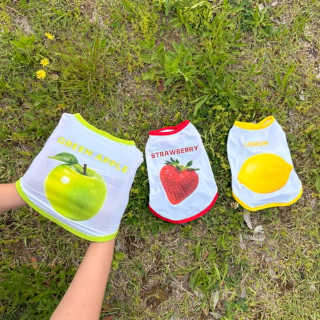 【予約】[Cooling Function] Fruit Aqua Cool Easy Vest（M001）