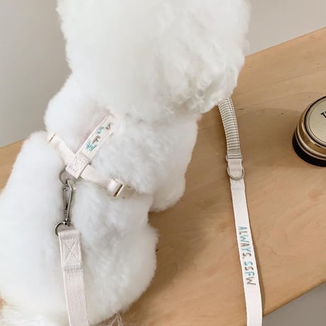 [ SSFW ] Love, Walk Backpack Harness