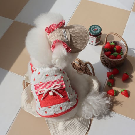 [ DURANG RURANG ] Strawberry Ice Pocket Top