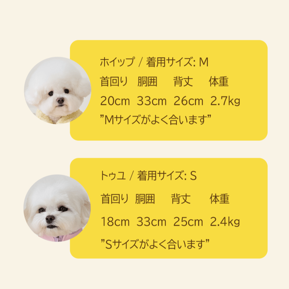 654e748b6a8b0d1375c27c4c