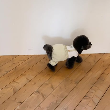 [ SSFW ] Pumpkin Overall Romper