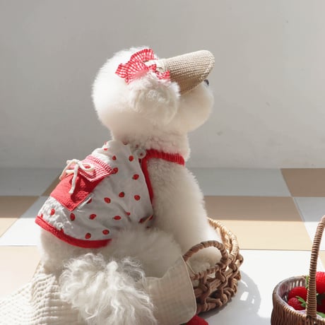 [ DURANG RURANG ] Strawberry Ice Pocket Top