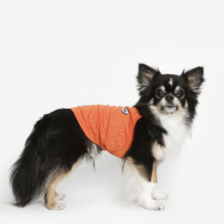[ TUSTUS ] COOL TOP