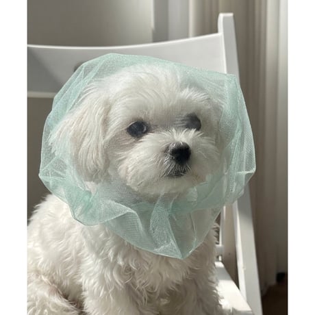 【予約】Jellyfish Beekeeping Hat FACE COVER（H001）