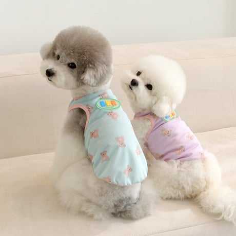 [IT'S DOG] JELLY BEAR COOL SLEEVE