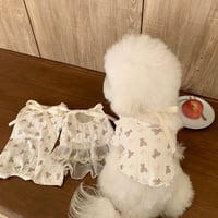 【予約】Balletcore Ribbon Teddy Bear T-Shirt / All-in-One / One-Piece（F001）