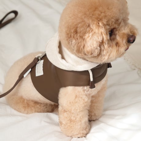 ［DURANGRURANG］Daily Leather Leash