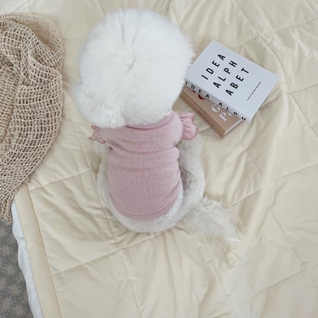 Pure Latte Frill T-shirt（L001）