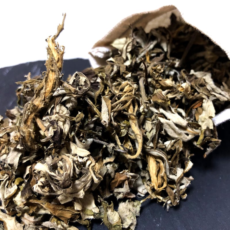 信州産乾燥よもぎ1袋（100g） | よもぎ屋