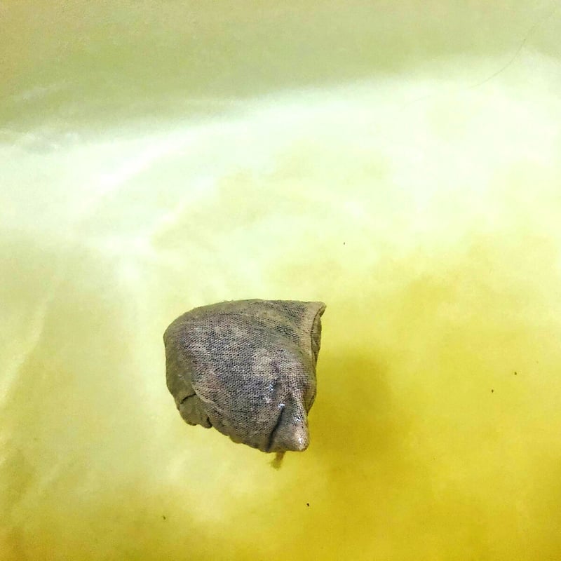 信州産乾燥よもぎ1袋（100g） | よもぎ屋