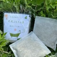 信州産乾燥よもぎ1袋（100g） | よもぎ屋