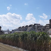 送料