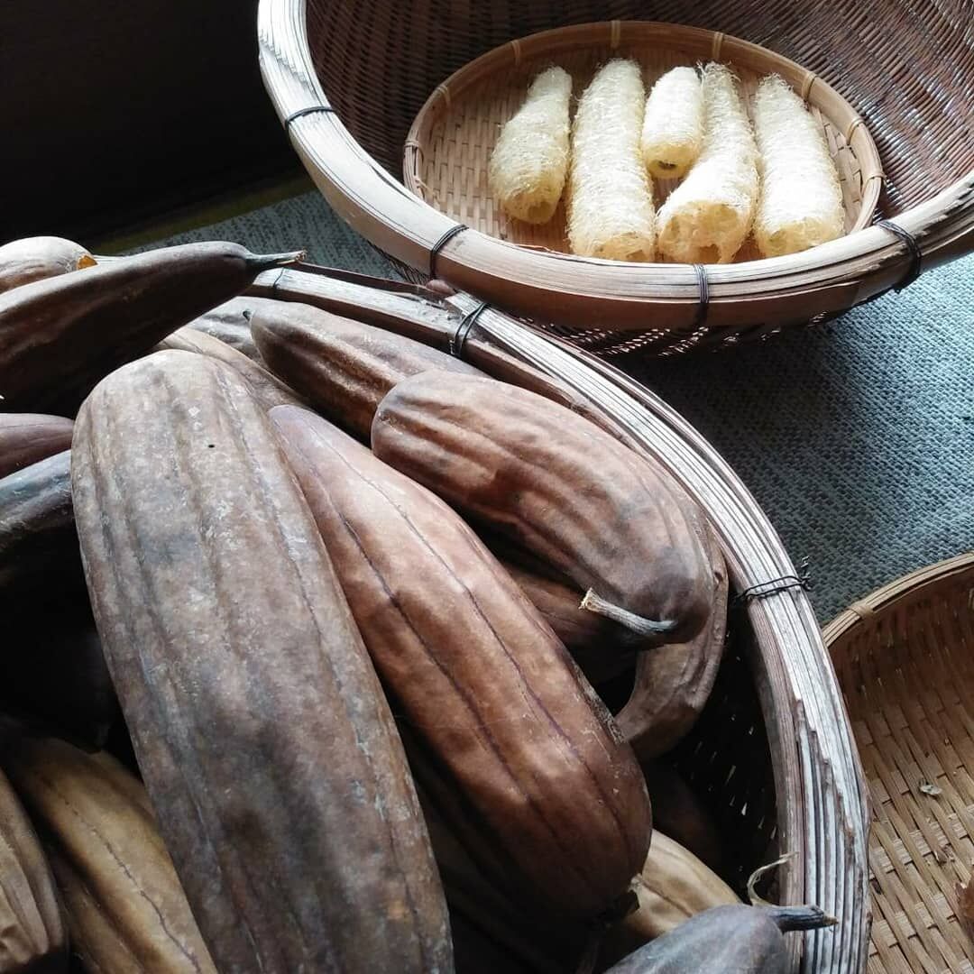 野菜セットなどに同梱用】へちまスポンジ | 草創自然農園