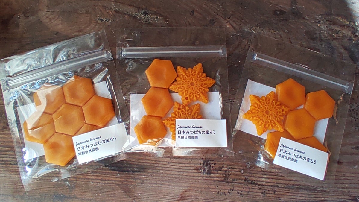 日本みつばちの蜜蝋 20g | 草創自然農園