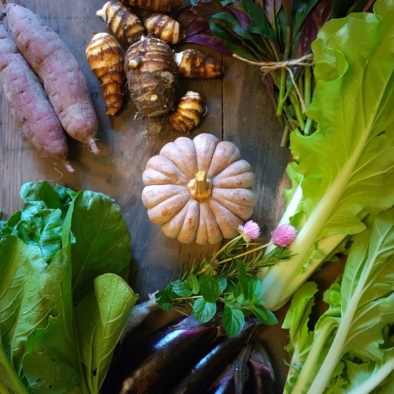 常温便】自然農法野菜セットSサイズ(5品程度) | 草創自然農園
