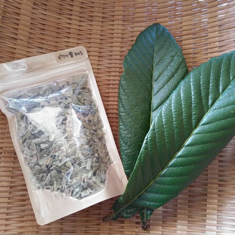 乾燥びわの葉50g | 草創自然農園
