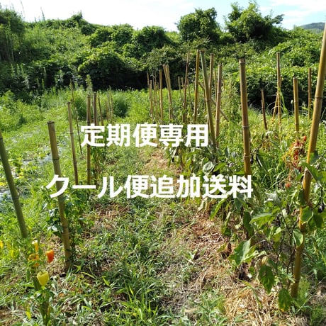 【定期便専用】野菜セットＳ60サイズクール便追加送料