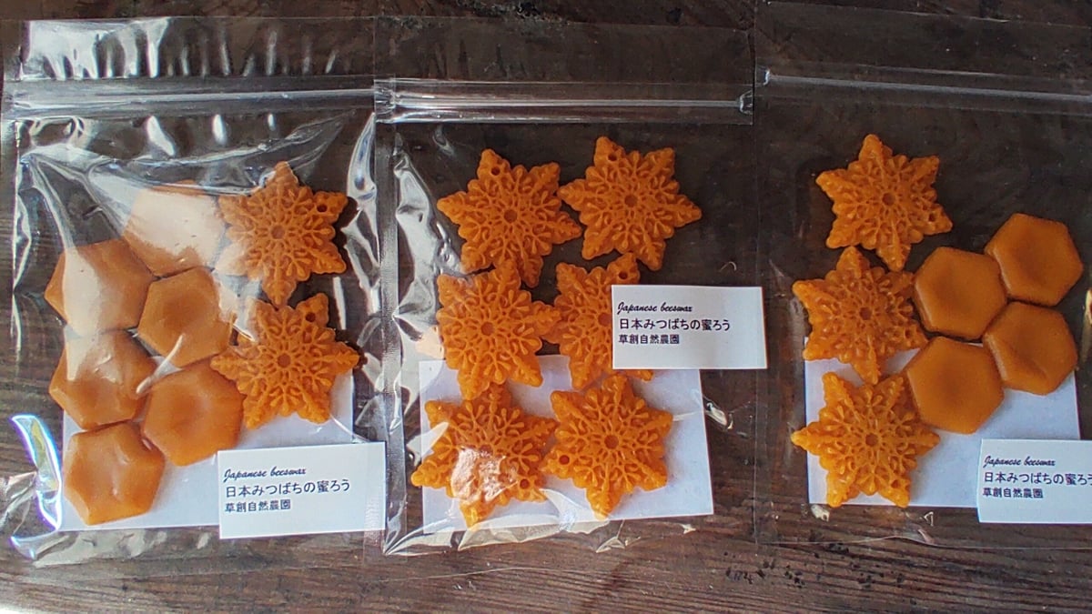 日本みつばちの蜜蝋 30g | 草創自然農園