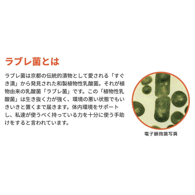 植物性乳酸菌】ラブレファイブ （お取り寄せ品） | YELL SANGYO