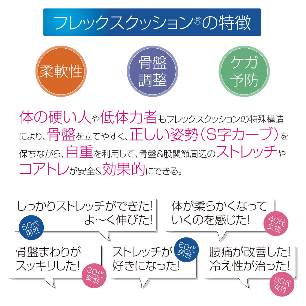 フレックスクッション®＋DVD」のセット | サンテプラス公式ショップ
