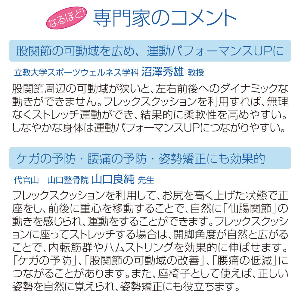 フレックスクッション®＋DVD」のセット | サンテプラス公式ショップ