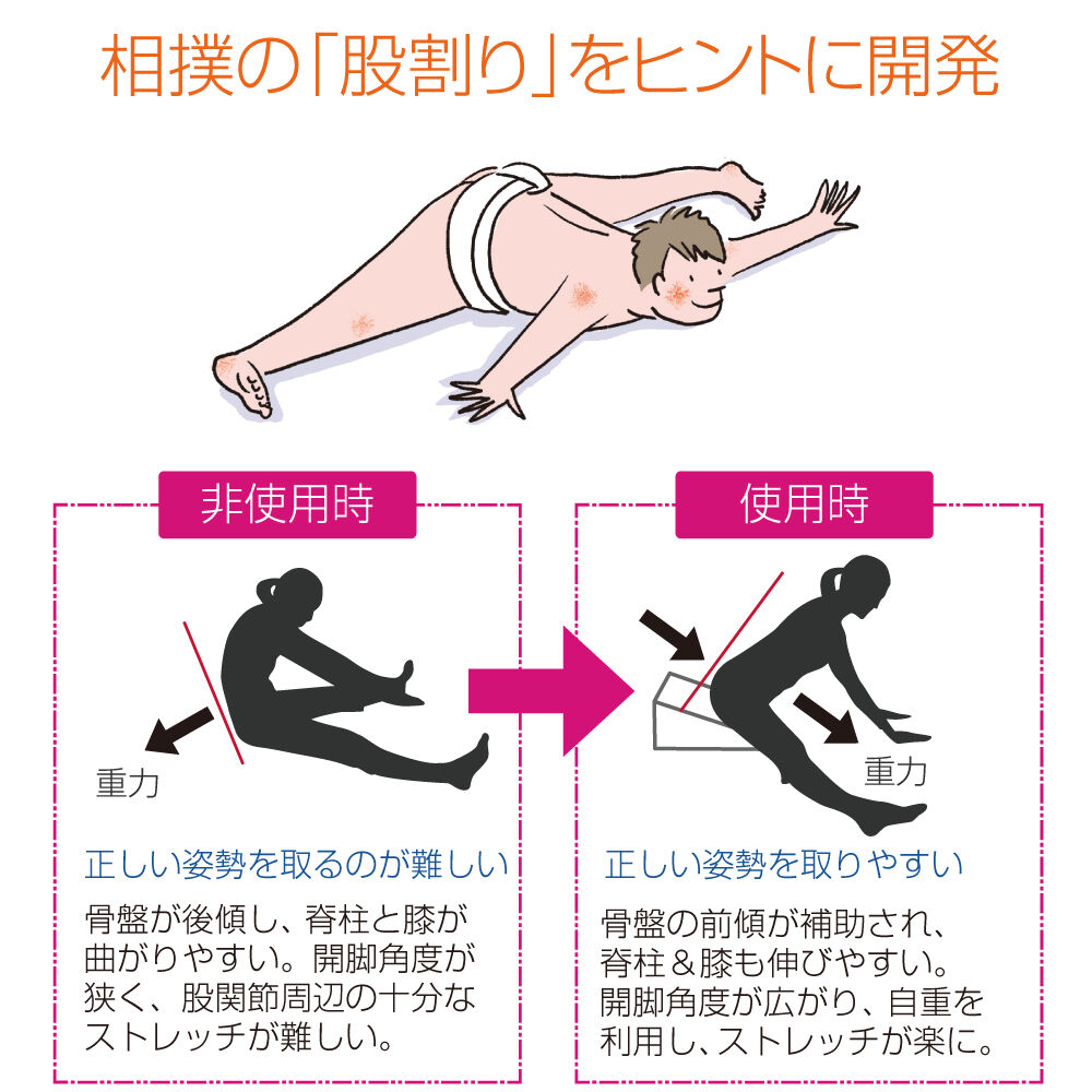 Flexcushion/サンテプラス社製