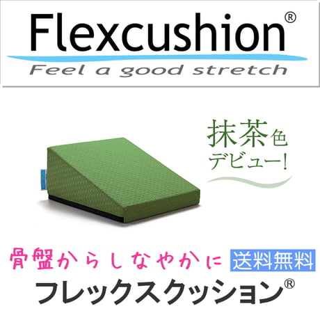 【新品】SANTE PLUS flexcushion フレックスクッション 楽天市場】サンテプラス フレックスクッション（ 本体のみ、本体＋DVD