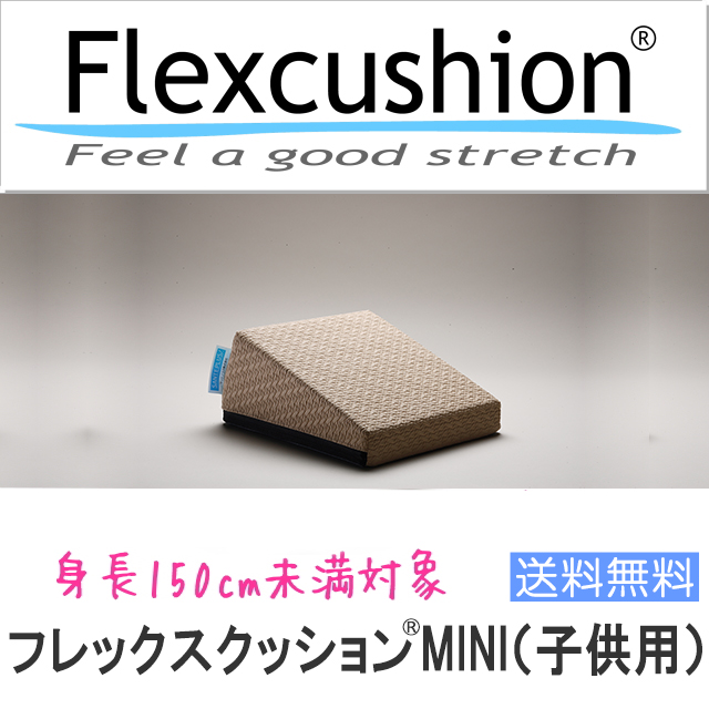フレックスクッションMINI（子供用） | サンテプラス公式ショップ