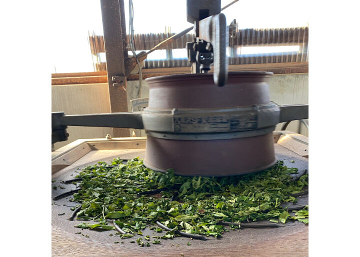 1番茶)^o^( c-26】釜炒り番茶 森スペシャル 2025.05.13 30g | 駄農園お茶製造