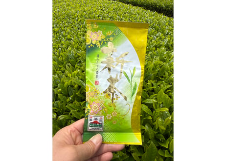 【a-1】 駄農園定番 特蒸し茶 No.10 2026 50g